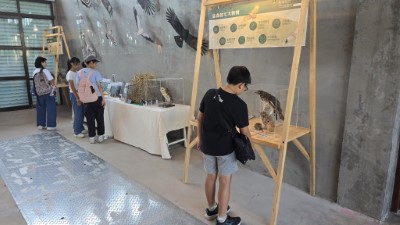 學生們在比賽後參觀「原來我們那麼近-猛禽生活主題展」 (1)